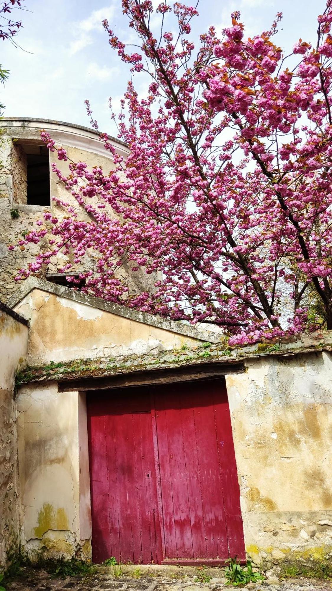 Romantic Room - Studio Jardin - Proche Disneyland Paris Crecy-la-Chapelle Exterior foto